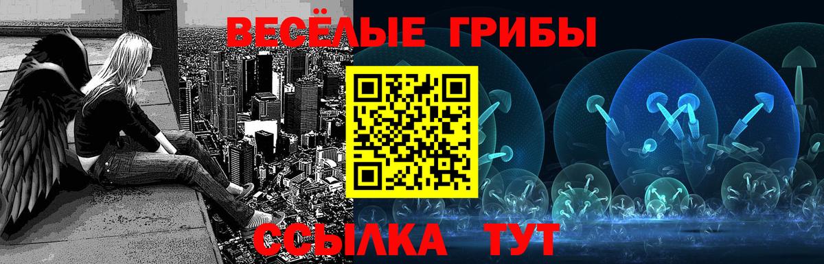 Псилоцибиновые грибы Cubensis Назарово